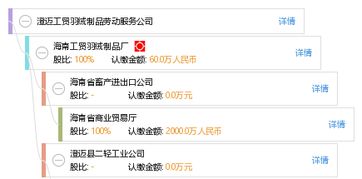 澄邁工貿(mào)羽絨制品勞動(dòng)服務(wù)公司 工商信息、信用報(bào)告與經(jīng)營業(yè)務(wù)全景解讀